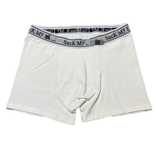 Thug Club Logo Boxer Briefs サグ クラブ ロゴ ボクサー ブリーフ